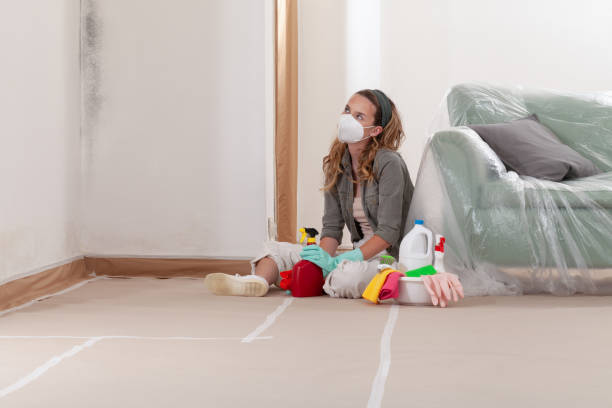 Reliable Bathroom Mold Removal contractor in Hyndman, PA by WQB Mold Removal