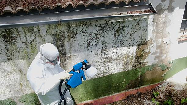 Top rated local Bathroom Mold Removal specialists in Hyndman, PA